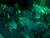 Warhammer 40000