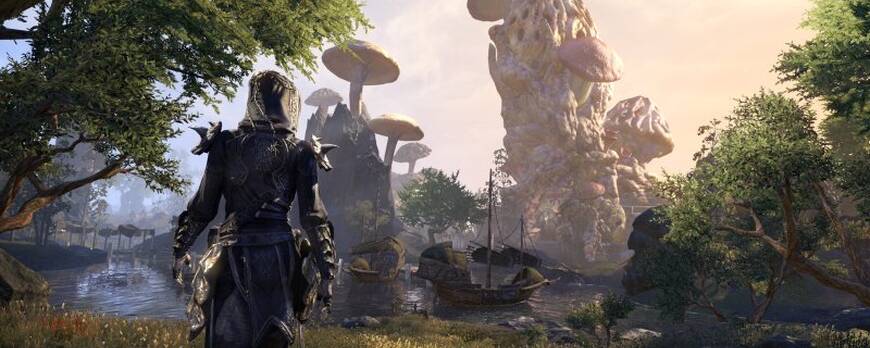 The Elder Scrolls Online